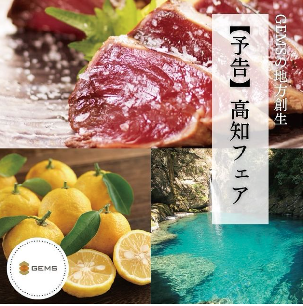 リポート
